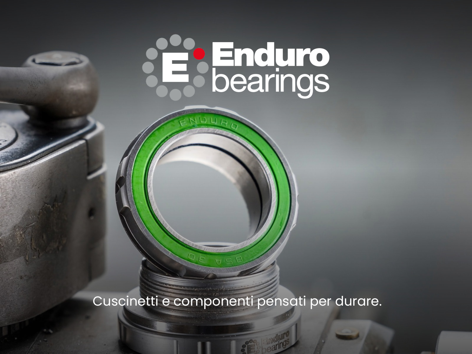 Enduro Bearings