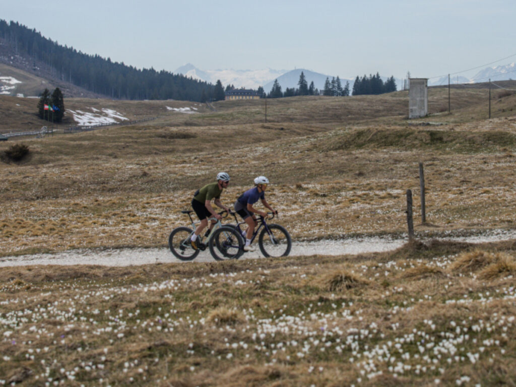 Campagnolo Record 13