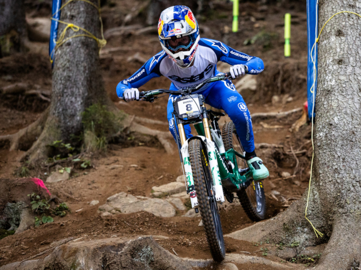 Maxxis DH Casing