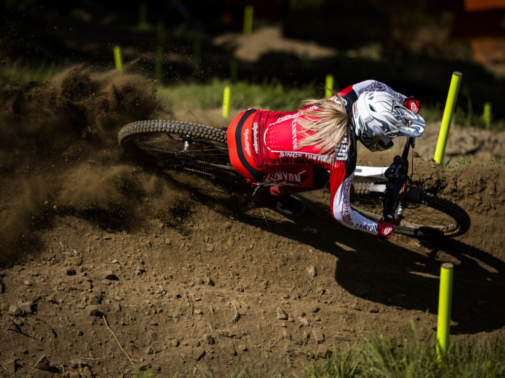 Maxxis Minion DH Casing